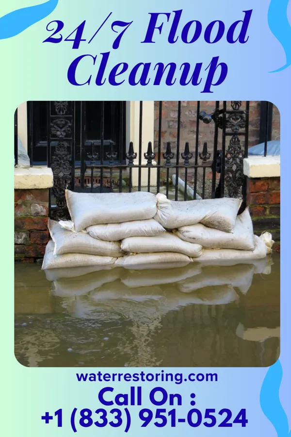 24/7 Flood Cleanup in Daisytown, PA
