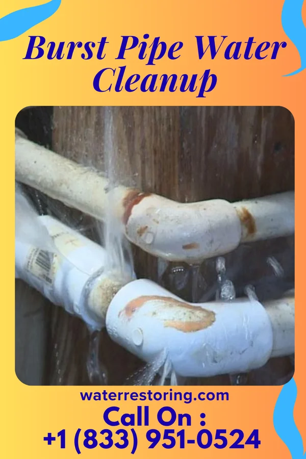Burst Pipe Water Cleanup in Daisytown, PA