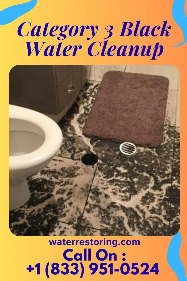 Category 3 Black Water Cleanup in Daisytown, PA