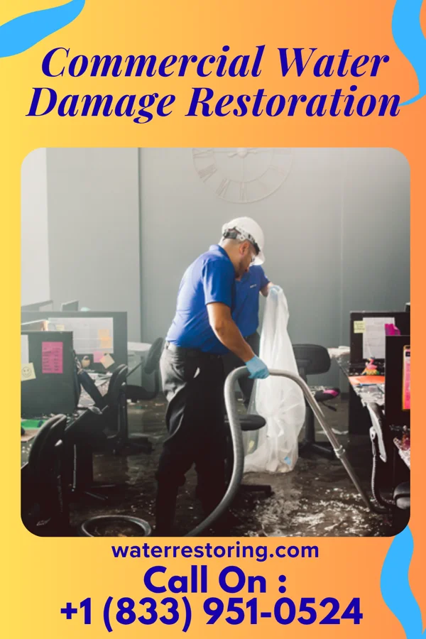 Commercial Water Damage Restoration in Daisytown, PA