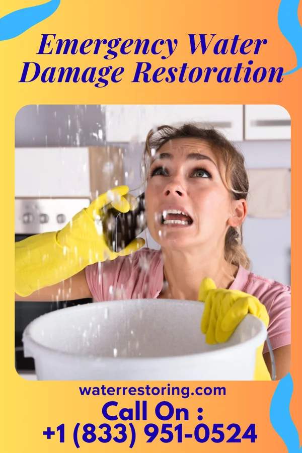 Emergency Water Damage Restoration in Daisytown, PA
