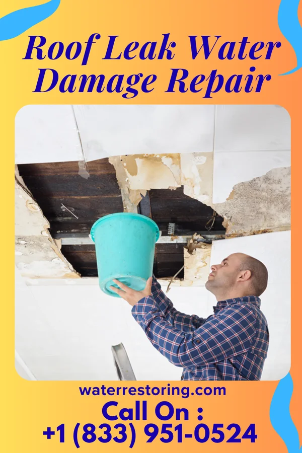 Roof Leak Water Damage Repair in Daisytown, PA