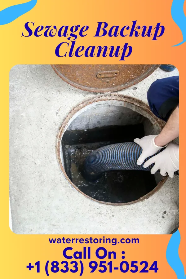 Sewage Backup Cleanup in Daisytown, PA