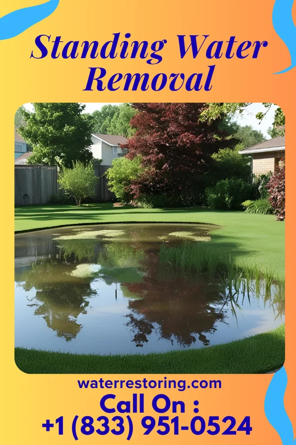 Standing Water Removal in Daisytown, PA
